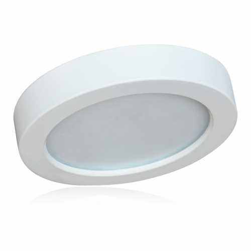 LED Ceiling Light