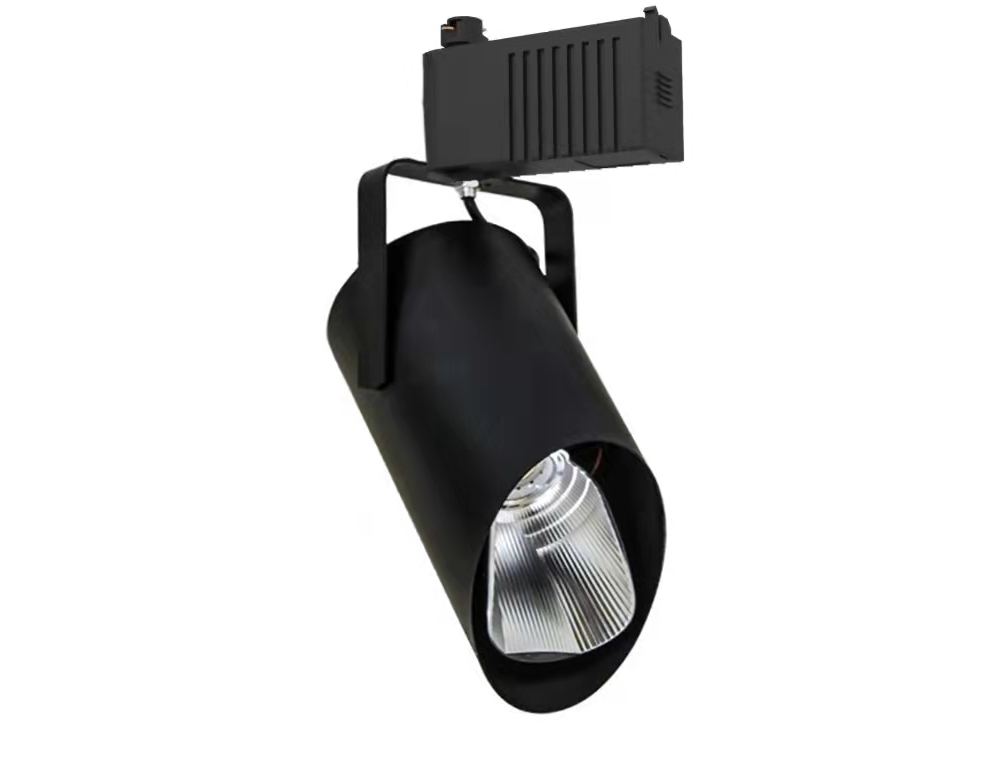 Low volt track light